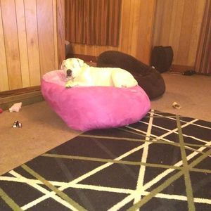 Meet your Posher, Peggy